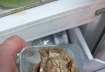 Nereguli grave în localurile de alimentație publică