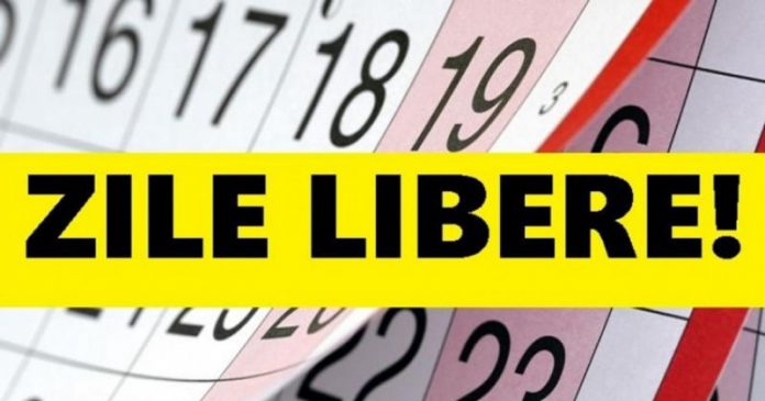 359323554_650966866987305_6867841273883165096_n