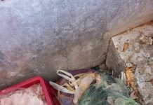 CJPC Gorj: Unele piscine sunt un pericol, mai ales pentru copii