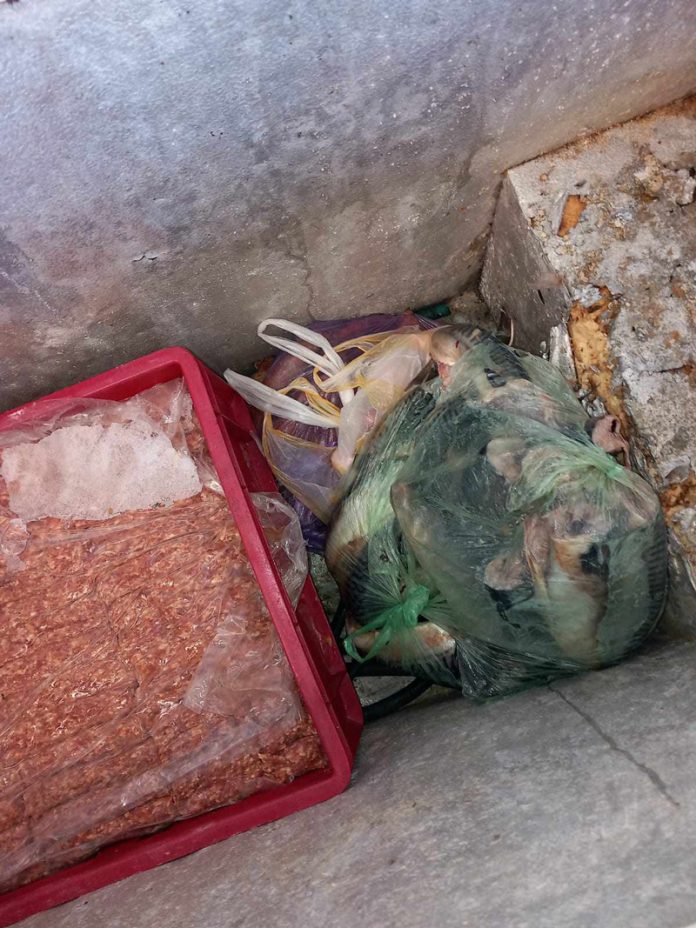 363494306_753051873287357_6559754451339362776_n