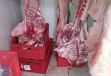 VIDEO: Mizerie în ,,strat gros” la o carmangerie din Târgu-Jiu. Comisariatul Protecției Consumatorilor Gorj a închis-o