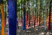 Arborii din Pădurea Colorată au fost revopsiți! Primarul Filip a fost voluntar la pensulă!