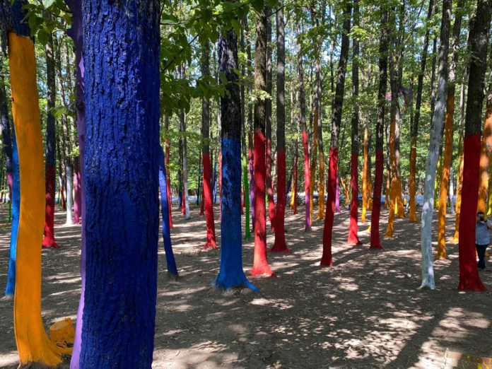 370783295_2156223524588920_8081913274354159830_n