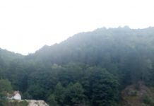 Garda de Mediu a descins pe Valea Gilortului