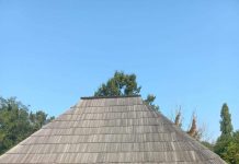 Trupă de dans din India, în vizită la Muzeul din Curtișoara