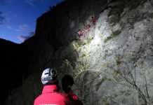 Antrenament de amploare al salvatorilor montani în Cheile Galbenului