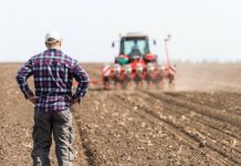 Condamnare pentru un fermier din Gorj