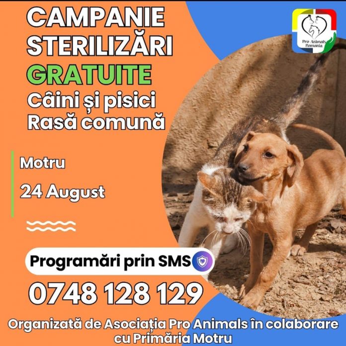 campanie-sterilizari