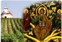 Viaţa Spirituală – Calea, Lumina, Adevărul şi Viaţa! – Dumnezeu ne învaţă că trebuie să-L primim prin credinţă lucrătoare pe Domnul nostru Iisus Hristos, Fiul lui Dumnezeu, ca să vieţuim şi să mergem cu credinţă la El!