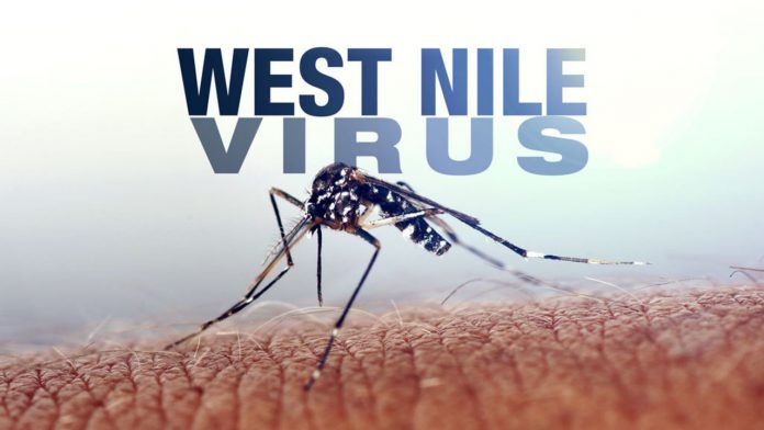 Peste 70 de cazuri de infecţie cu virusul West Nile