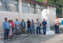 Ipostaze creatoare în Simpozionul Internațional de Sculptură de la Peștișani