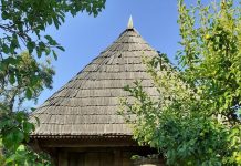 Gazeta Gorjului – Dealu’ Niculeștilor