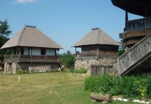 DIN NOU PRIN ŢARA JIULUI DE SUS