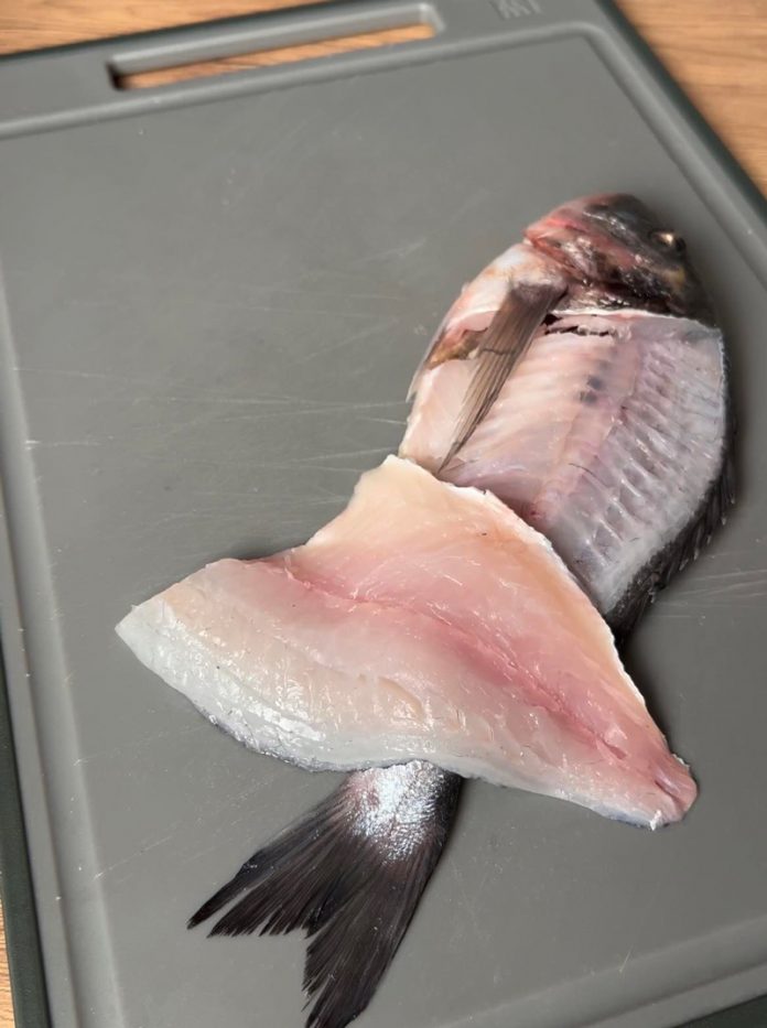 384374862_886530119775129_5642155904520266342_n