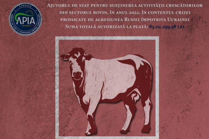 FB_IMG_1695891500199