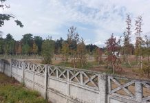 GALERIE FOTO: Parcul de 2,8 milioane de euro din cartierul Narciselor, departe de a fi finalizat! Termenul e depășit deja cu patru luni!