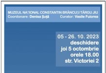 Un nou vernisaj la Muzeul Național „Constantin Brâncuși” Târgu Jiu