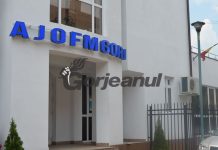 Trei noi cursuri de formare profesională, demarate de AJOFM Gorj