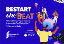 Instrumente muzicale de peste mări și țări, expuse la mall-ul din Târgu-Jiu