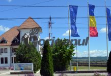 Post de auditor, scos la concurs de Primăria Turceni