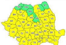 Cod galben de vânt puternic, în Gorj