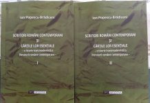 Pe Calea Visului – Cea dintâi istorie transmodernistă a literaturii române contemporane