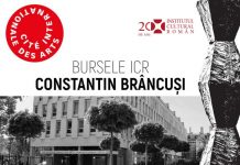 ICR a dat startul înscrierilor în programul de burse ,,Constantin Brâncuși”