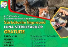 Noi campanii de sterilizare gratuită a patrupedelor