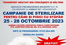 Campanie gratuită de sterilizare și microcipare a câinilor cu stăpân