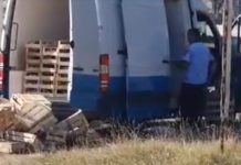 Gorj: Ciuperci confiscate de polițiști