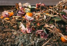 Care sunt cele mai eficiente metode pentru gestionarea deșeurilor menajere?