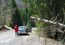 LA PAS PRIN GORJ – CARSTUL GORJEAN FASCINANT ȘI ÎN ANOTIMPUL AUTUMNAL