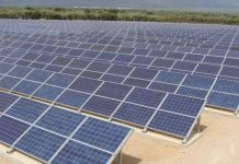 Mega-licitație pentru parcurile fotovoltaice de 450 MW. Contract de 375 milioane de euro!