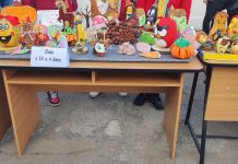 ”Elevii-deținuți” din Penitenciarul Târgu Jiu au participat la Festivalul Toamnei