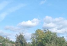 SGA Gorj decolmatează pârâul Ploștina