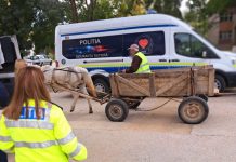 Au primit veste reflectorizante de la polițiști