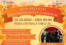 Ziua Recoltei, la Târgu Jiu