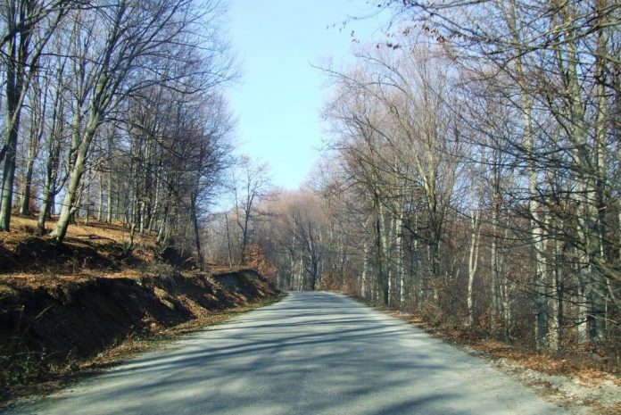 sohodoș de izvarna (2)