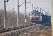 Un gorjean s-a sinucis aruncându-se în fața trenului