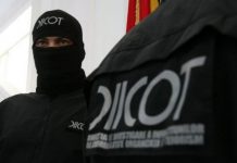 Trei frați din Rovinari, într-una dintre cele mai puternice grupări de interlopi din țară