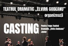 Teatrul din Târgu Jiu organizează casting pentru trupa de juniori
