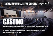 Teatrul ”Elvira Godeanu” organizează casting pentru un nou spectacol