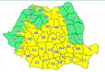 Cod galben de vreme rea