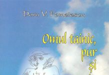 Zăboviri asupra liricii poetului Doru Fometescu