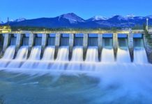 Fost ministru, director general al Hidroelectrica