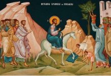 Învăţătura Preotului de altar – Sărbătoarea Floriilor în viaţa şi în spiritualitatea românilor – „Osana Fiul lui David, bine este cuvântat, Cel ce vine întru numele Domnului, Osana întru cel de sus, Împăratul lui Israel”!