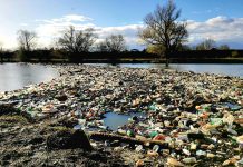 FOTO, Jiu: Insule de PET-uri, prinse în ”sisteme-capcană”