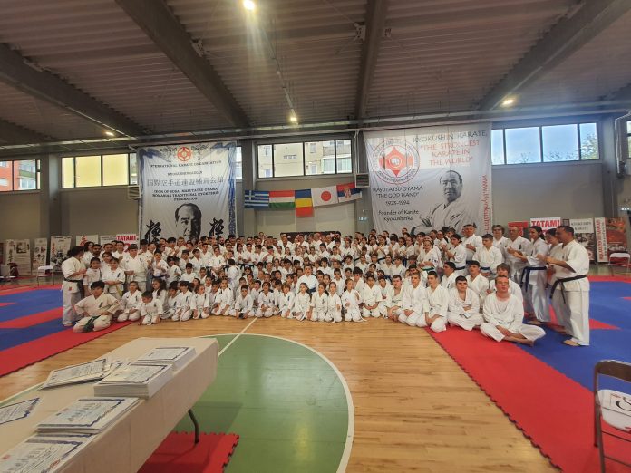 karate1