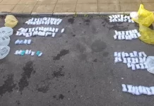 Plase de pescuit, vândute în bazarul din Rovinari