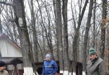 Pregătiri pentru o nouă campanie de împădurire în Gorj